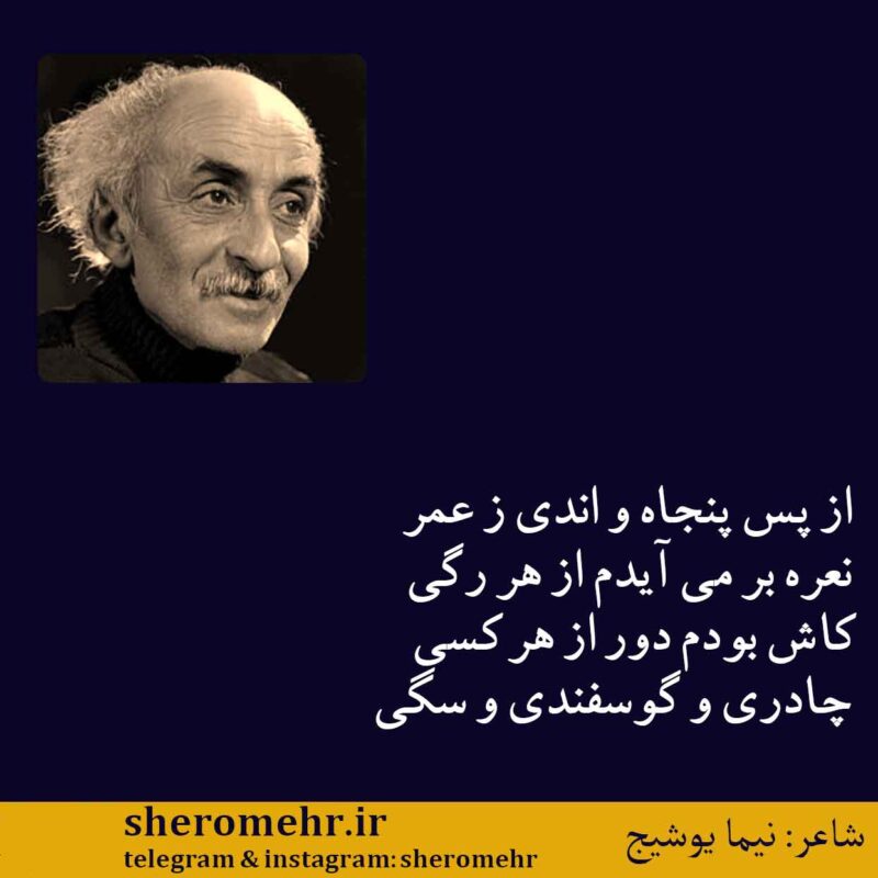 شعر از پس پنجاه و اندی ز عمر نیما یوشیج