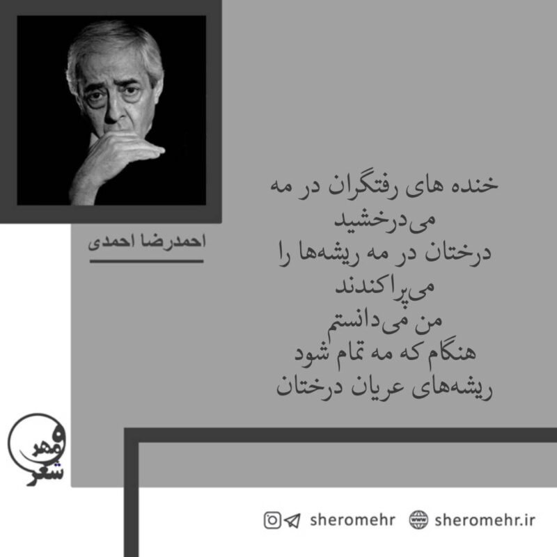 شعر خنده های رفتگران احمدرضا احمدی