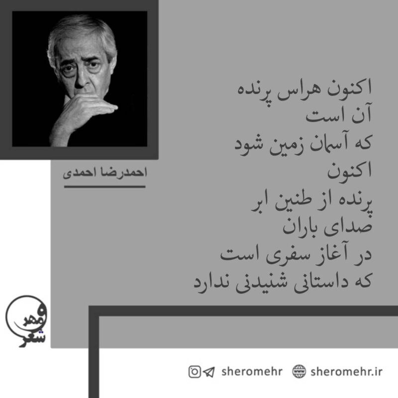 شعر اکنون هراس احمدرضا احمدی